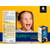 LOXYMUNE JUNIOR DIETARY SUPPLEMENT IMMUNE SYSTEM SUPPORT 200 ML LIQUID